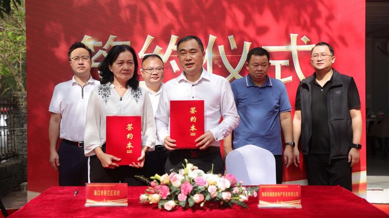 美兰区软件开发